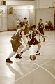 Basket 443012